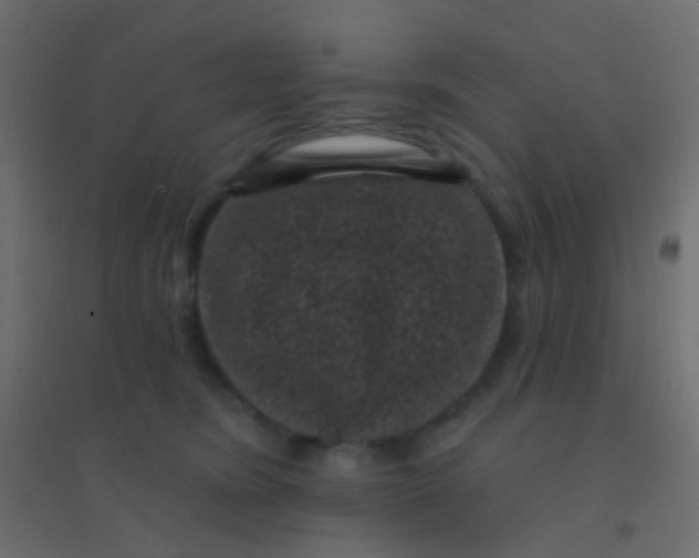 X0000094920420200712131519