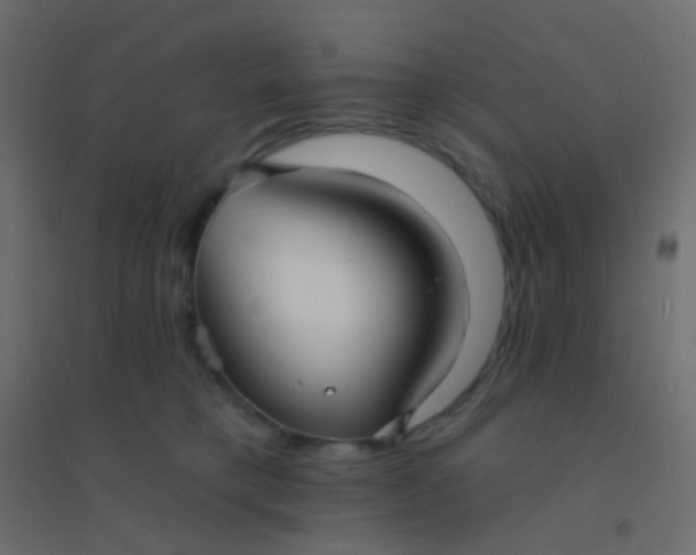 X0000094920421200712131519