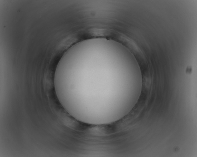 X0000094920422200712131519