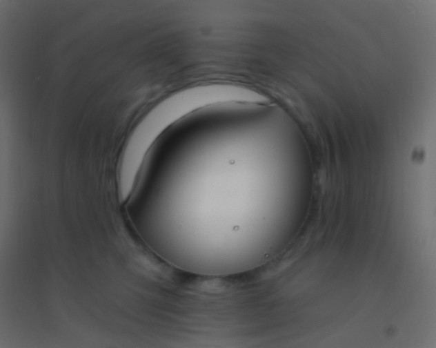 X0000094920423200712131519