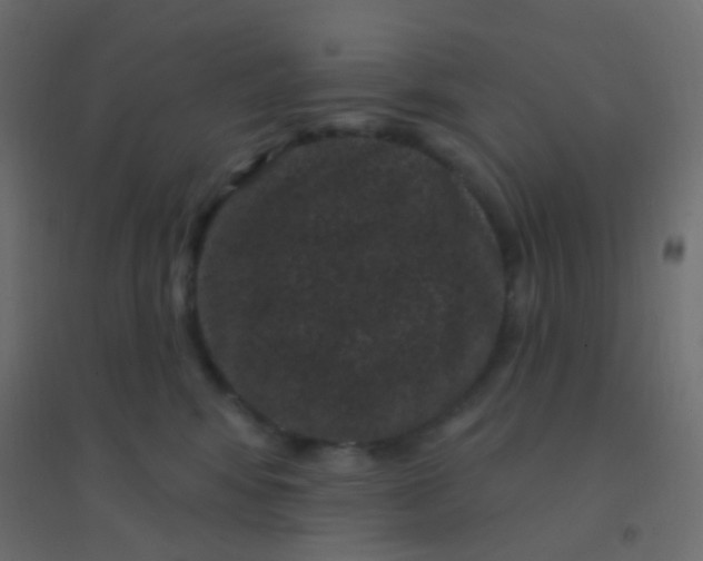 X0000094920424200712131519