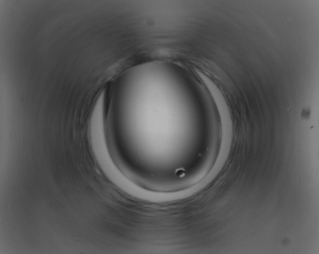 X0000094920425200712131519