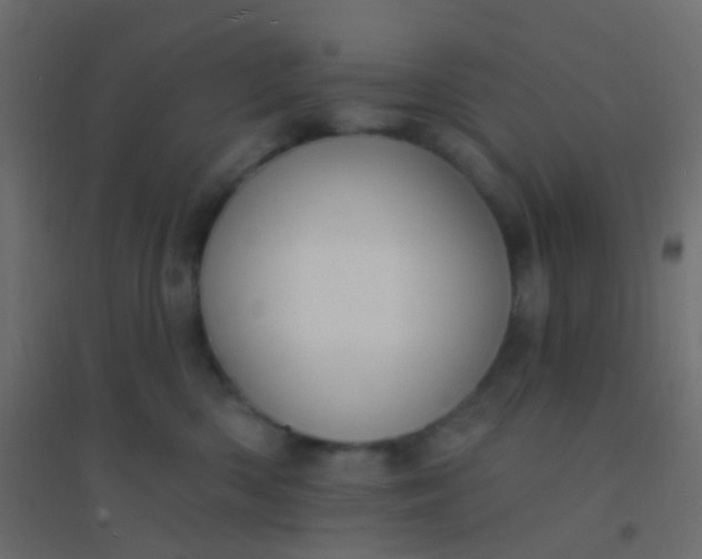 X0000094920426200712131519