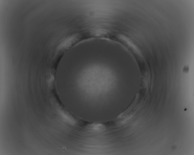 X0000094920427200712131519