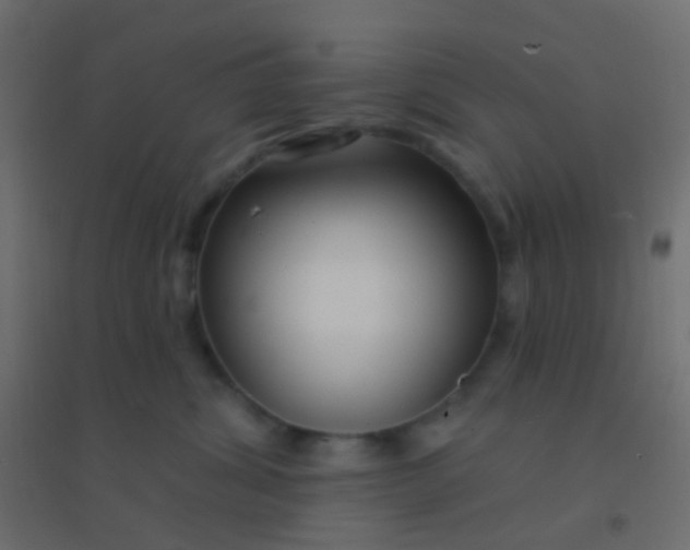 X0000094920428200712131519