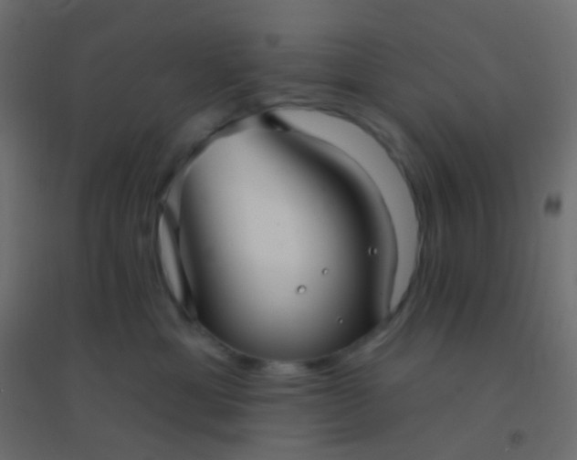 X0000094920429200712131519