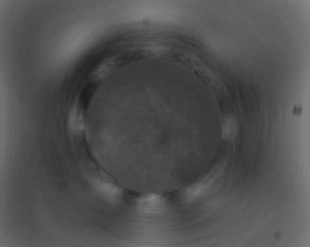 X0000094920431200712131519