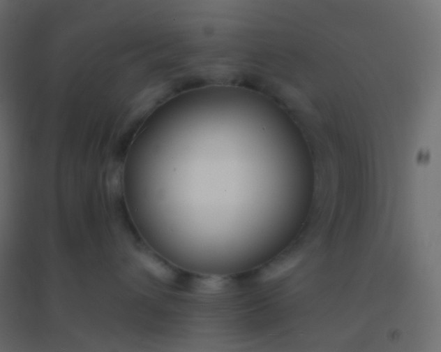 X0000094920432200712131519