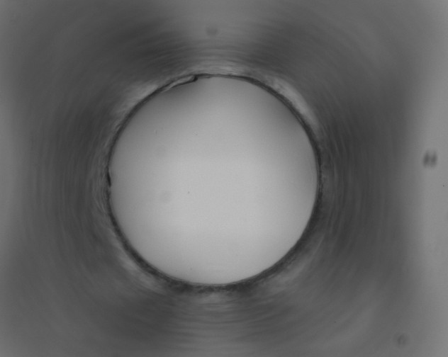 X0000094920433200712131518