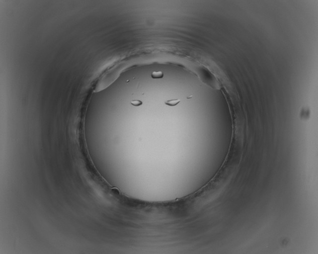 X0000094920434200712131518