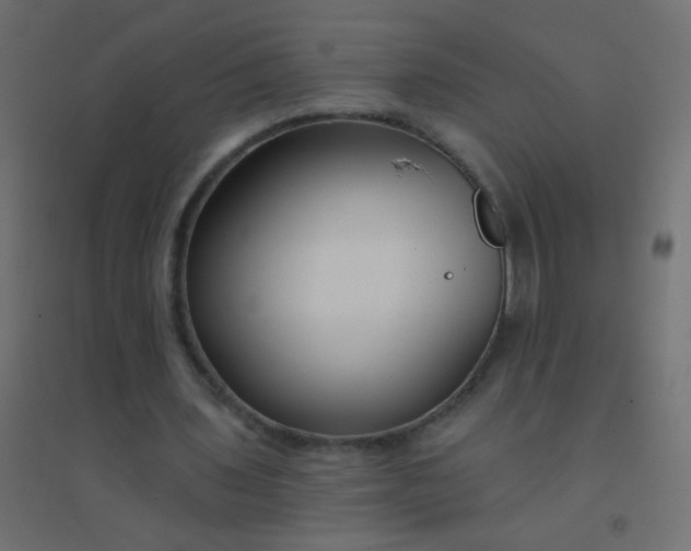 X0000094920435200712131518