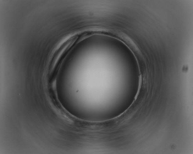 X0000094920436200712131518