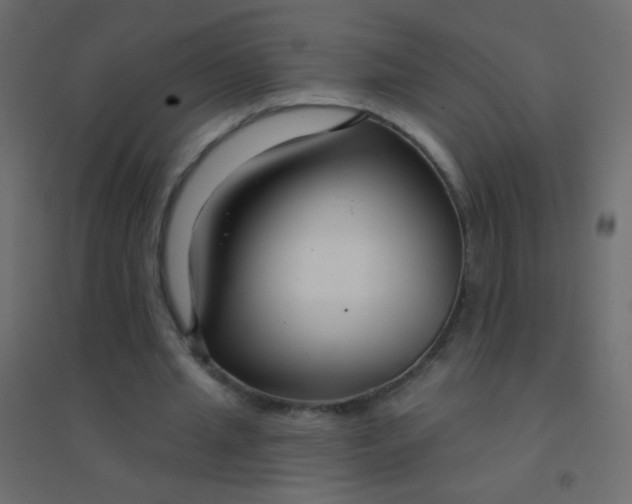 X0000094920437200712131518