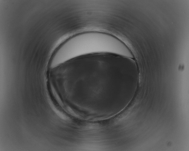 X0000094920438200712131518