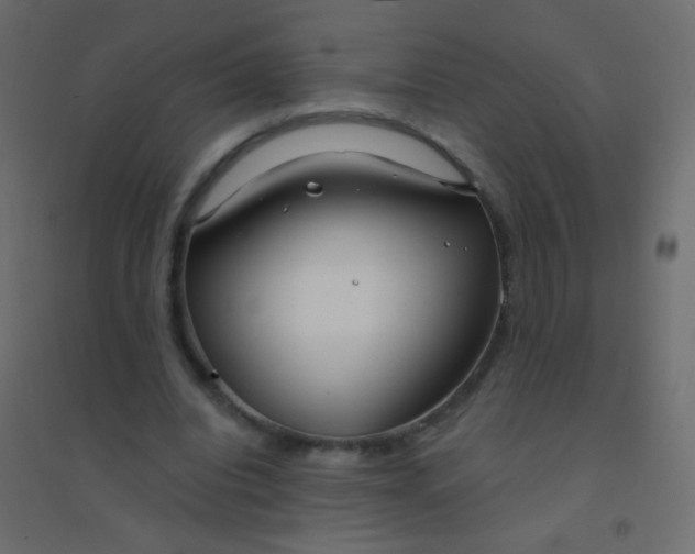 X0000094920440200712131518