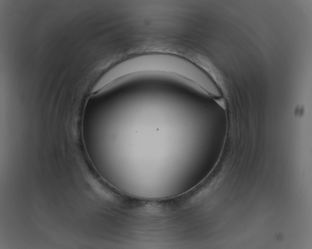 X0000094920441200712131518