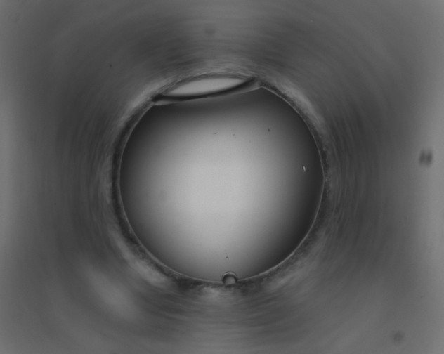 X0000094920442200712131518