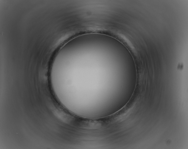 X0000094920443200712131518