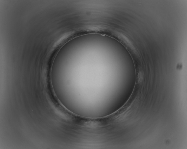 X0000094920444200712131518