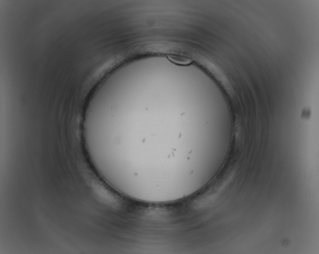 X0000094920445200712131518