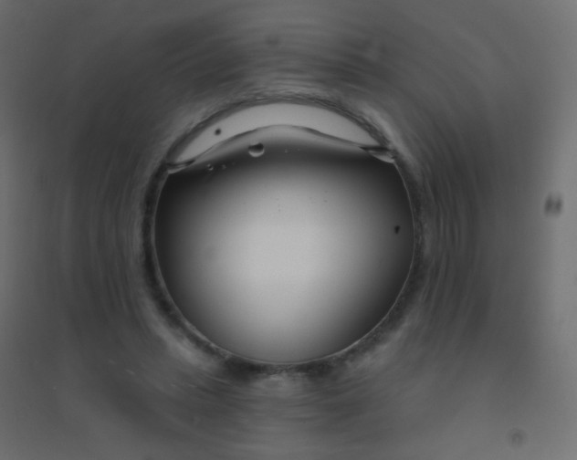 X0000094920447200712131518