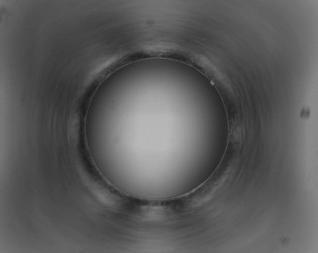 X0000094920448200712131518