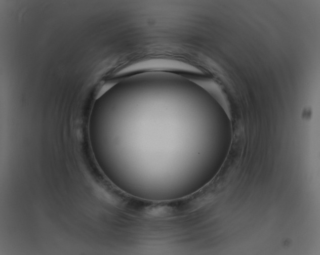 X0000094920452200712131518