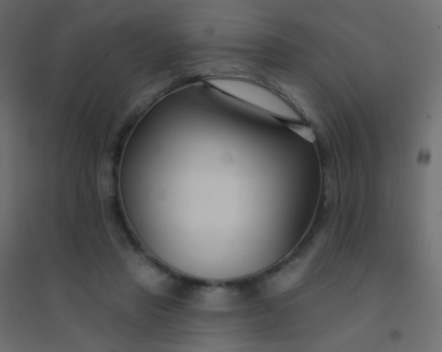 X0000094920453200712131518