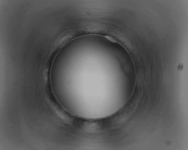 X0000094920454200712131518