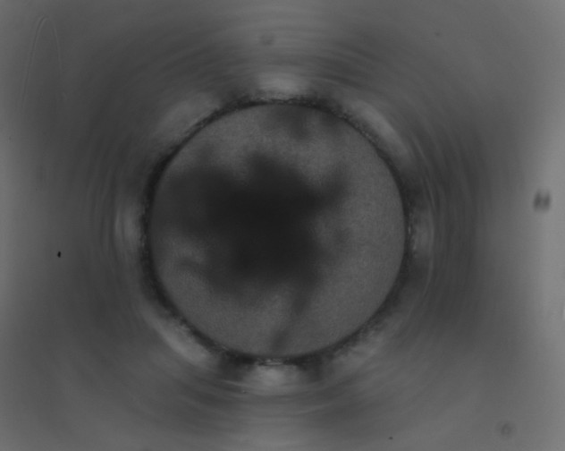 X0000094920455200712131518