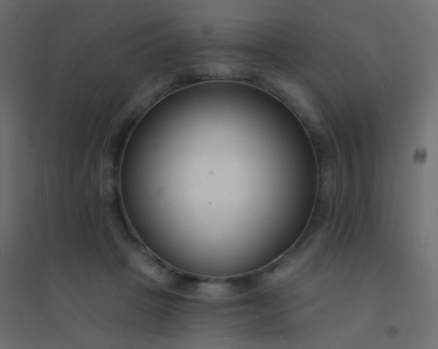 X0000094920457200712131518