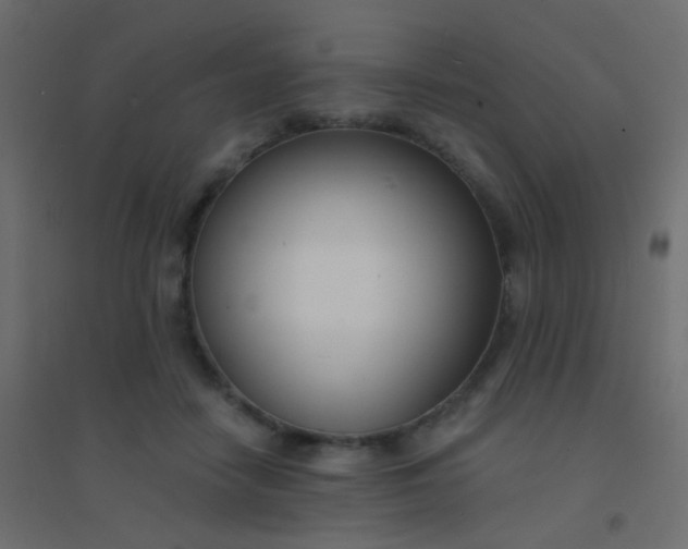 X0000094920458200712131518