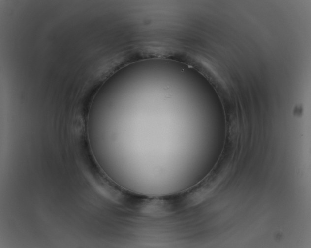 X0000094920459200712131518