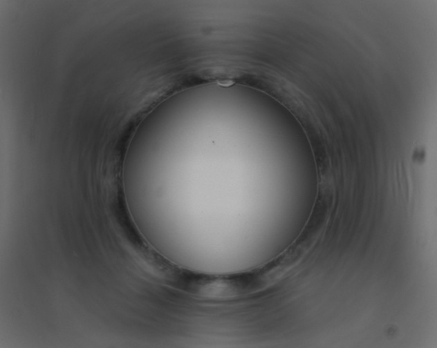 X0000094920460200712131518