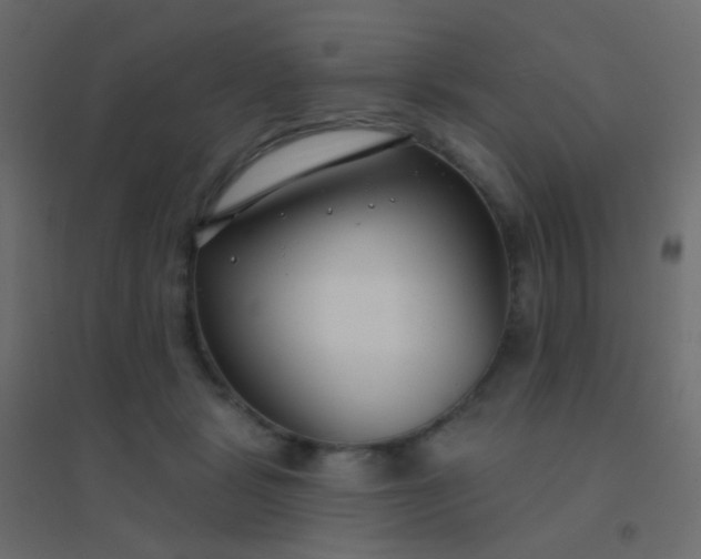 X0000094920461200712131518