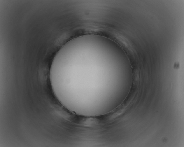 X0000094920463200712131518