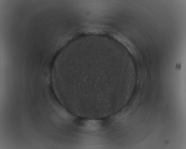 X0000094920465200712131518