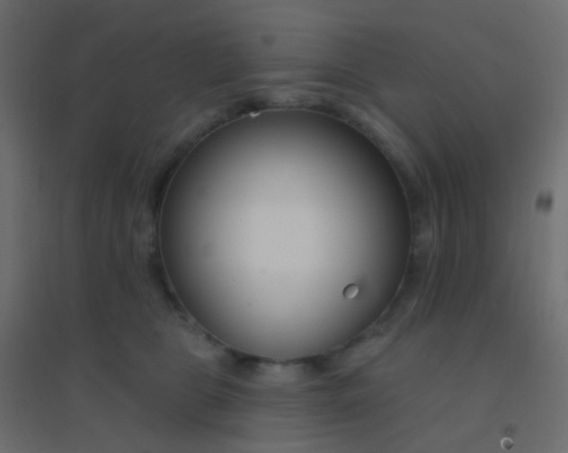 X0000094920469200712131518