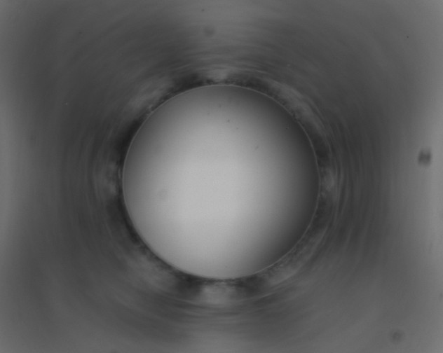 X0000094920470200712131519