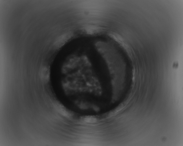 X0000094920471200712131519