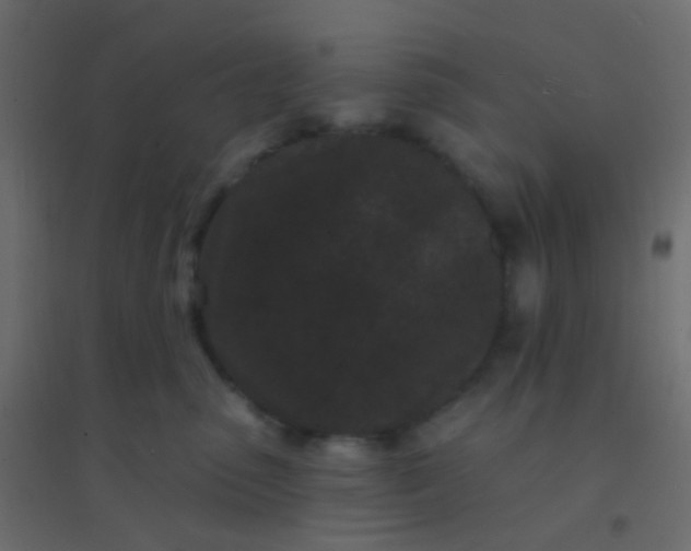 X0000094920475200712131519