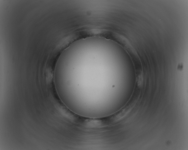 X0000094920476200712131519