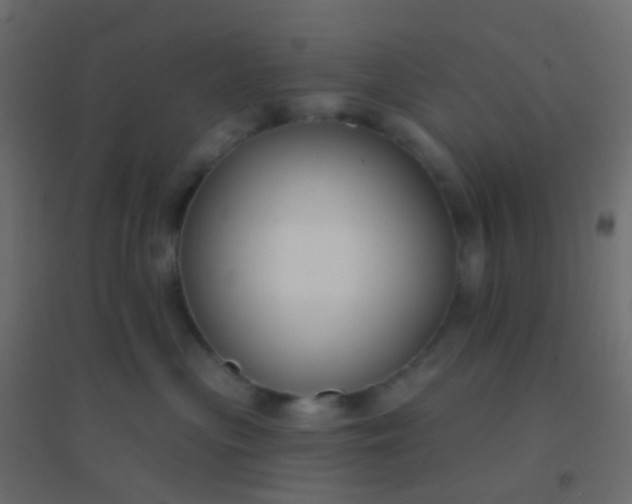 X0000094920477200712131519