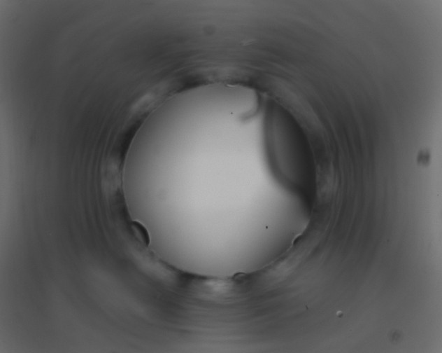 X0000094920478200712131519