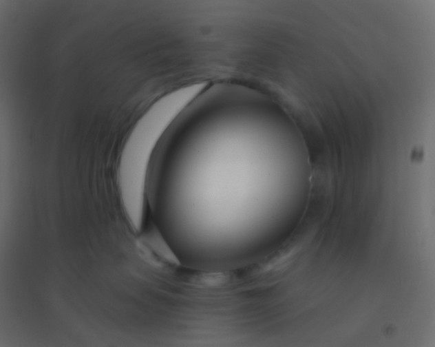 X0000094920479200712131519