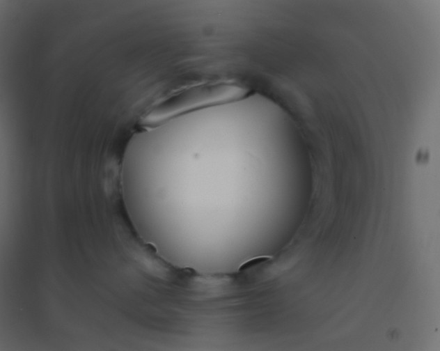 X0000094920480200712131519