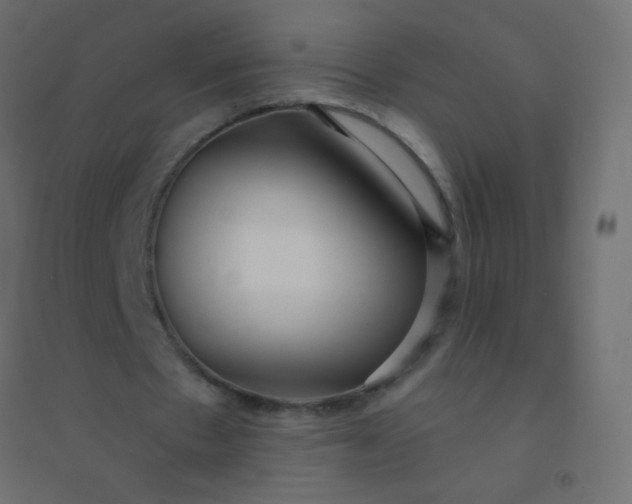 X0000094920481200712131518