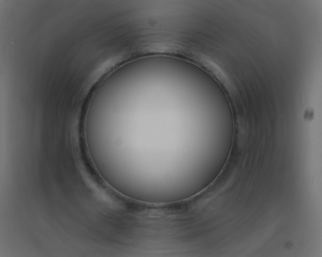 X0000094920482200712131518