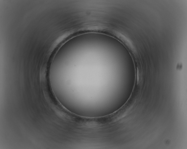 X0000094920483200712131518