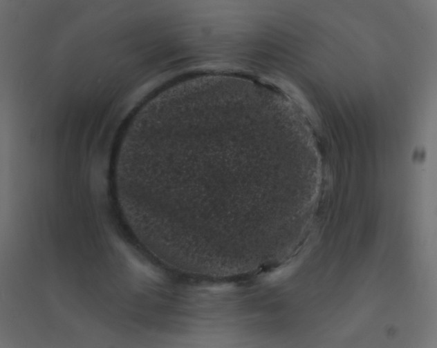 X0000094920484200712131518